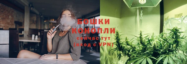 PSILOCYBIN Богородицк